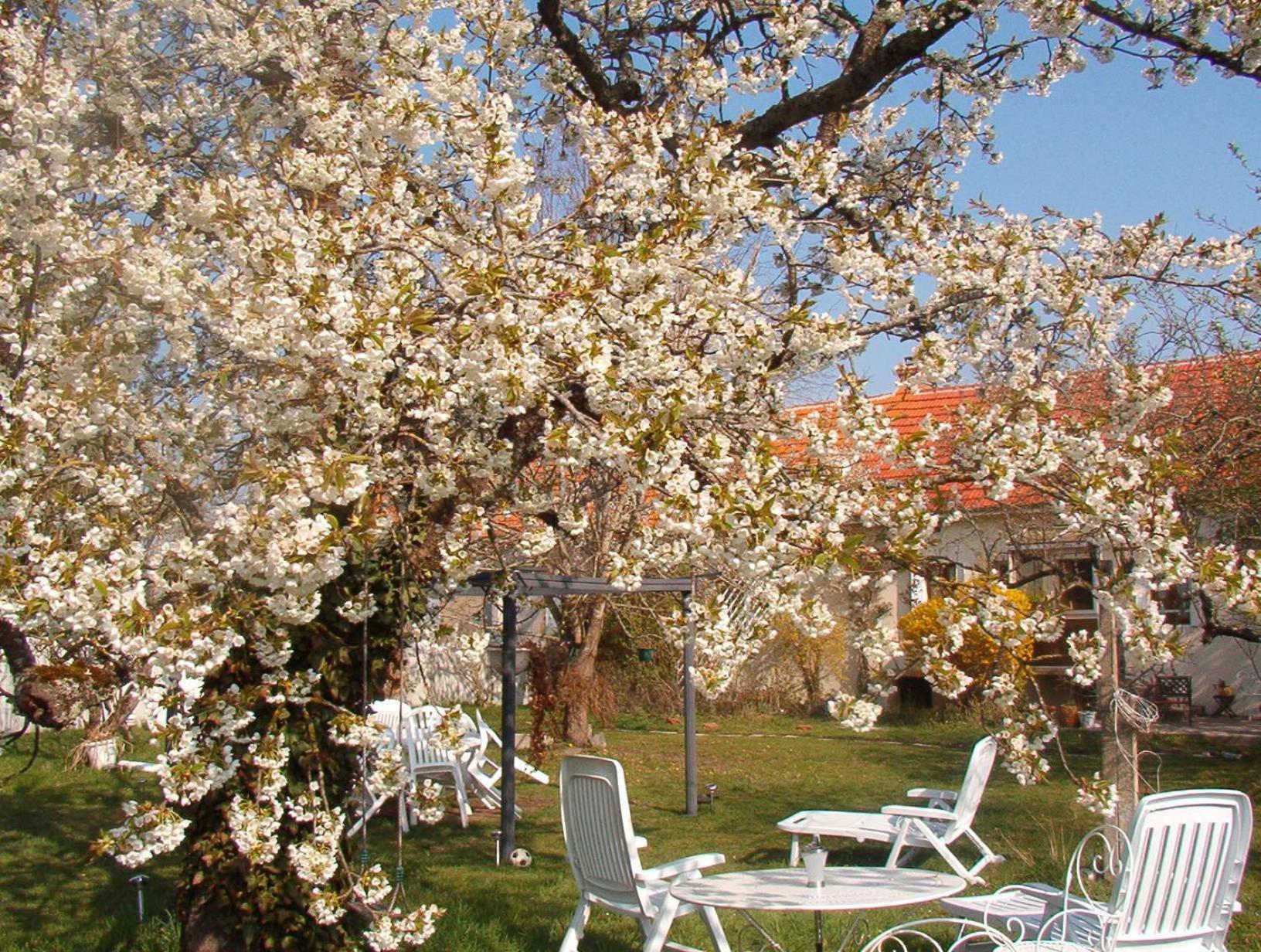 La Longere Des Gillettes Bed & Breakfast Bezenet Luaran gambar
