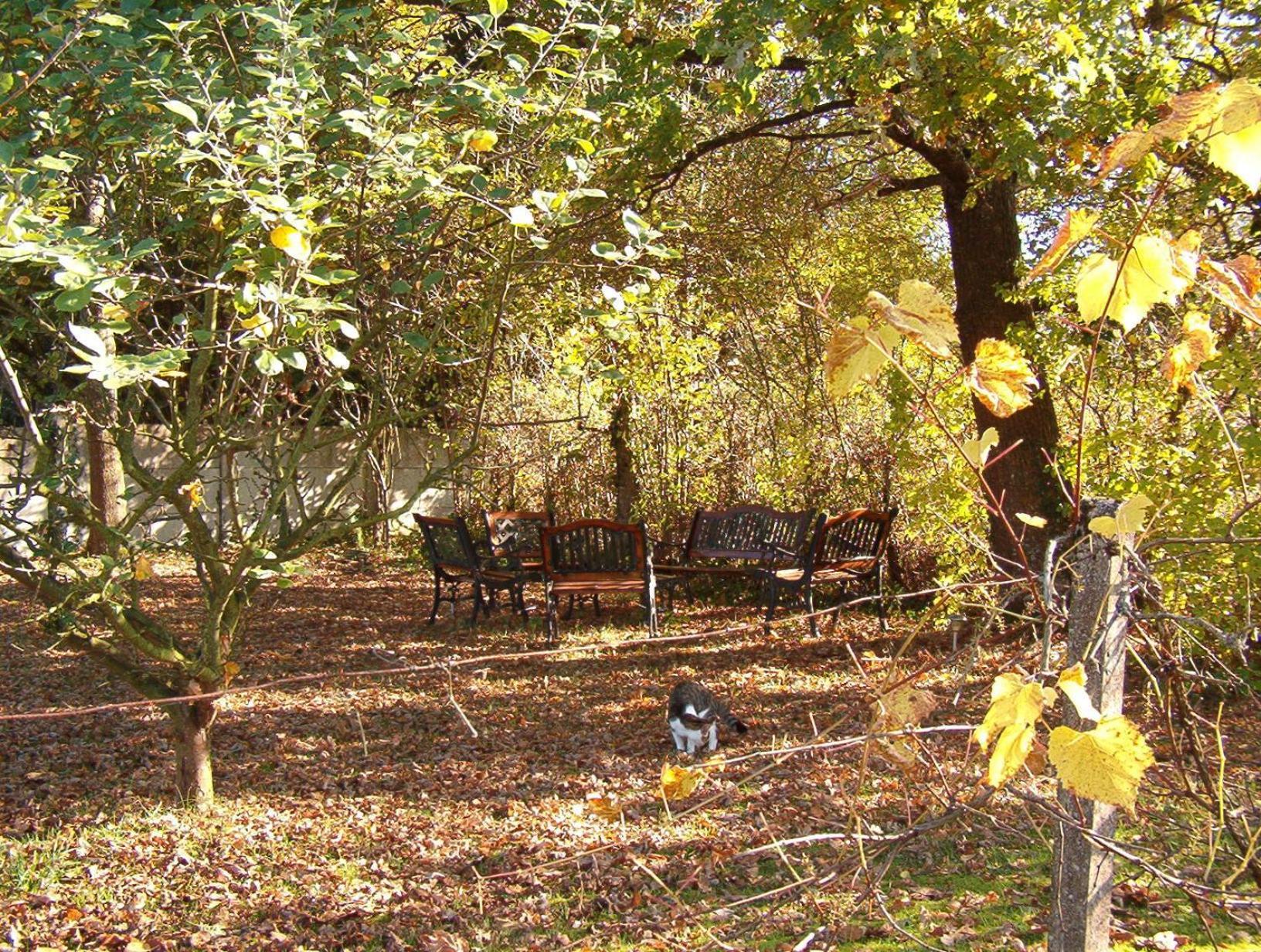 La Longere Des Gillettes Bed & Breakfast Bezenet Luaran gambar